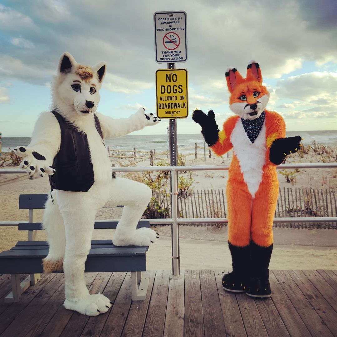 DoonTheFox's tweet photo. That sign can't stop us because we can't read! π€£β€ #SSCSunday #OceanCityBoardwalk #OceanCityNJ https://t.co/mkdhM38H5I