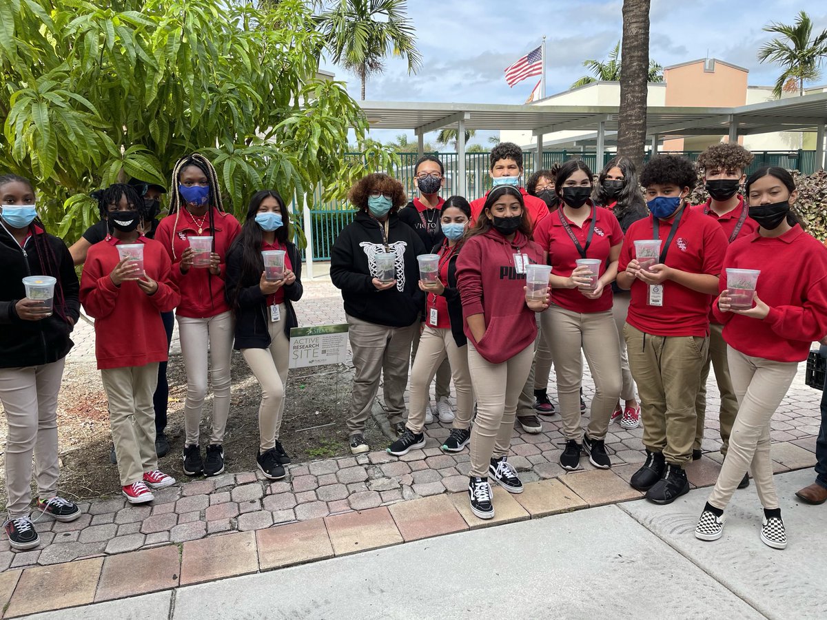 OrchidSTEMLab's tweet photo. Epidendrum nocturnum, night fragrant orchids, going up @CountryMiddle and Trichocentrum undulatum, mule eared #orchids growing in bioreactors going into their classrooms for @millionorchid @MDCPS @MDCPSSTEAM https://t.co/Iowdvkifc2