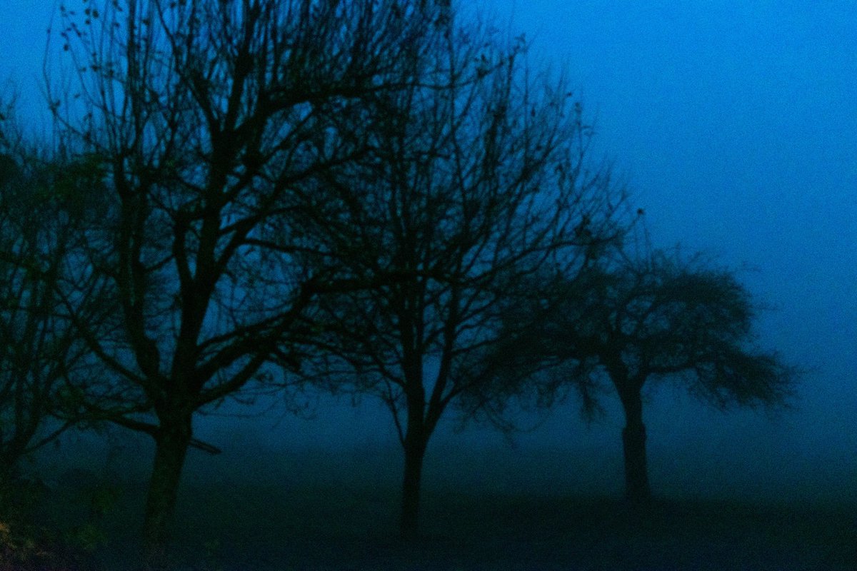 innnktlp's tweet photo. loneliness https://t.co/4Lcv5wYt6v