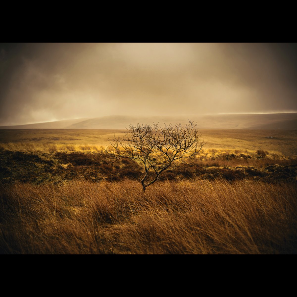 GlavindStrachan's tweet photo. #Dartmoor #Photos from my #2022Calendar April - #whitetor May - #DeadLake June - #OkeTor 🥰 #DartmoorPhotography #DartmoorPhotographer 📷 https://t.co/sUDDpbwQeD https://t.co/N1fOmVslg9