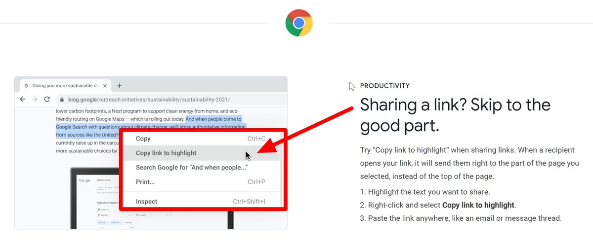 Lissa Weier Brunan tweet media