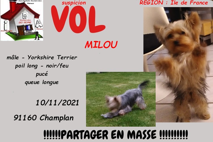 GUILLAUME tweet media