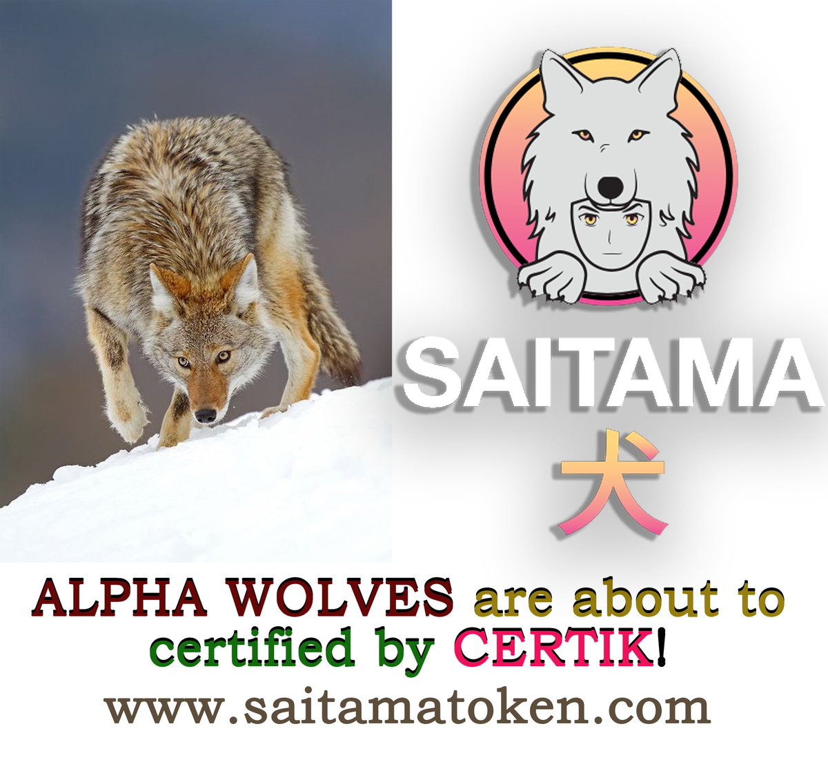 #certik 
We are waiting for your certificate approval. ✅
Then we will fly to the moon .
250K HOLDERS!
🚀🚀

#Saitama #SaitamaWolfPack #Saitamask #Certik <a href="/Saitamaguru1/">Russell Armand</a>
<a href="/certikorg/">CertiK Old Account</a>