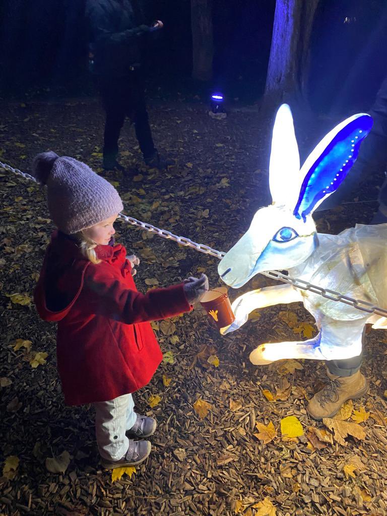 Christmas 2022 Toadlover404 Alison (@Aws29) / Twitter