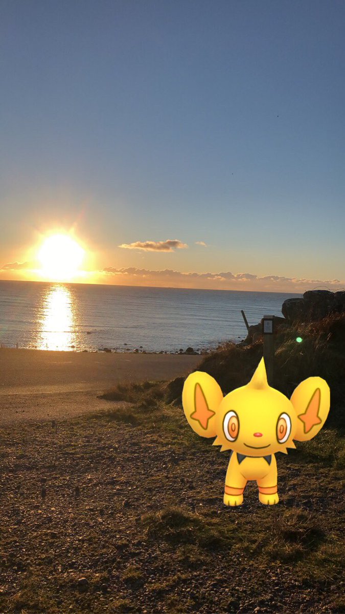 ikobrestad's tweet photo. Shinx Community Day with a view! 😍 #PokemonGOCommunityDay #Obrestad @thetrainerclubb https://t.co/wdqRlcfg4L