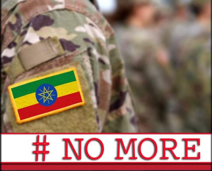#NoMore for Fascism and Colonialism!

#EthiopiaPrevails 
#AfricaUnite 
#PanAfricanismPrevails