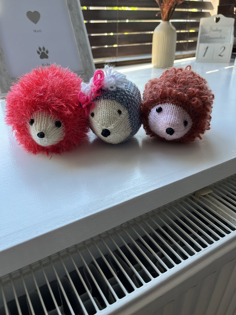 AnimalProjectNS's tweet photo. Perfect stocking fillers and only £5 each. All money raised goes to the North Somerset hedgehog charity 🐾🦔 https://t.co/mVynmj3xQt