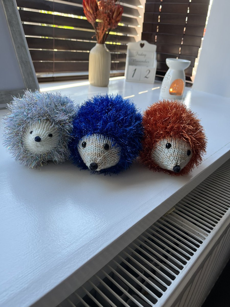 AnimalProjectNS's tweet photo. Perfect stocking fillers and only £5 each. All money raised goes to the North Somerset hedgehog charity 🐾🦔 https://t.co/mVynmj3xQt