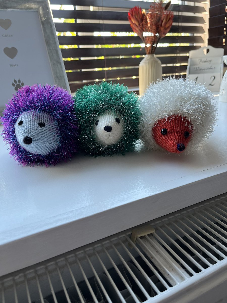 AnimalProjectNS's tweet photo. Perfect stocking fillers and only £5 each. All money raised goes to the North Somerset hedgehog charity 🐾🦔 https://t.co/mVynmj3xQt