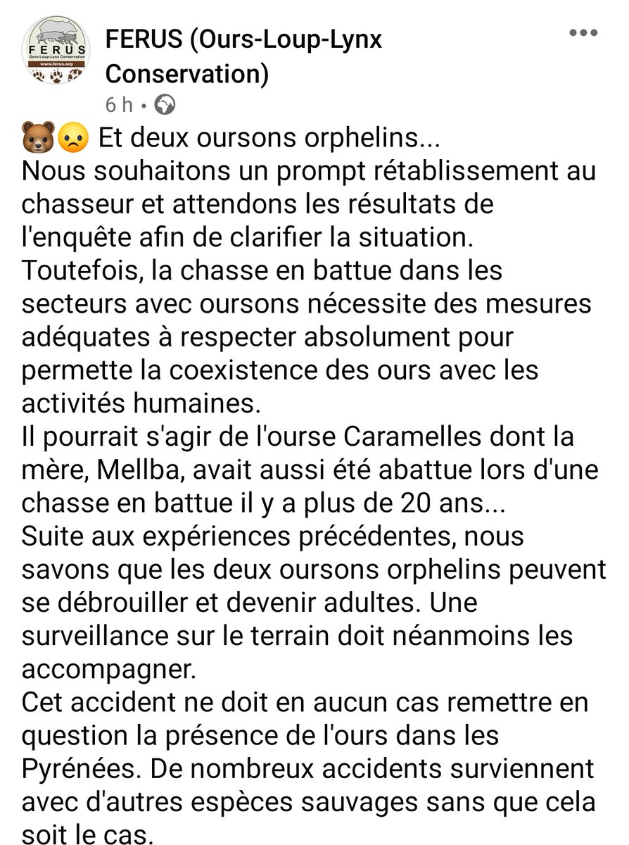 NorSecure's tweet photo. Suite à l'accident ayant entraîner un blessé et la mort d'un #ours dans les #Pyrénnées je trouve que la réaction de l'asso #Ferus est intelligente et mesurée, sortant des clivages binaires pro ou Anti #Chasse (reflétant le calme societal actuel 😅) ! https://t.co/mxoC2Cospe