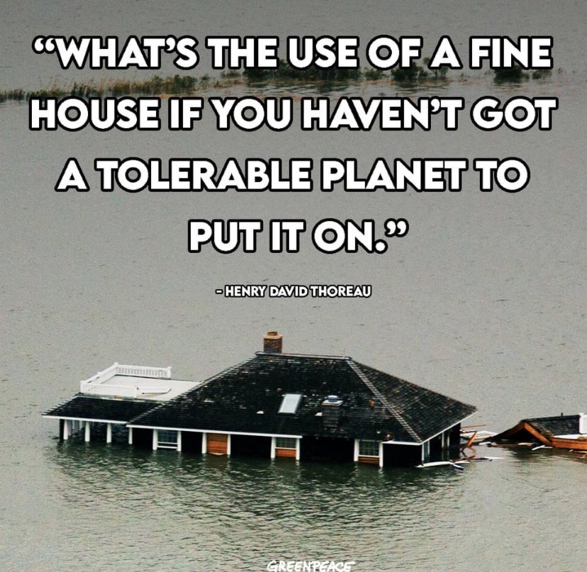 SaveSlochy's tweet photo. This is the hard truth; the planet needs us to protect what remaining green spaces we have left; Slochy Woodlands is one such gem.  We all need to make our voices and actions count. 

#savetheplanet #saveslochywoodlands #ExtinctionRebellion #environmentaljustice #ecocide https://t.co/Z2g66lLrId