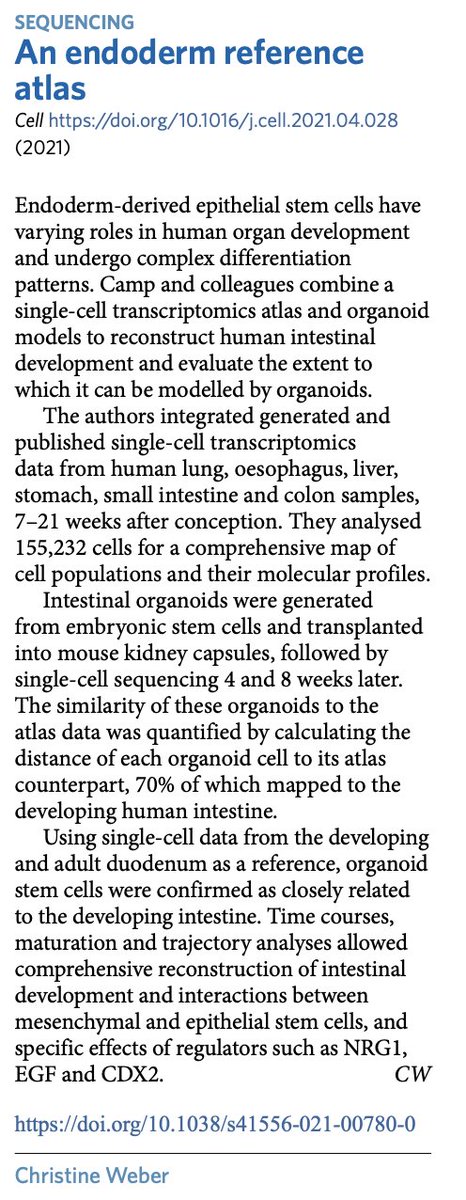 Gray Camp (@graycamplab) on Twitter photo Nice coverage by Christine Weber <a href="/NatureCellBio/">Nature Cell Biology</a> on our work with <a href="/TheSpenceLab/">Jason Spence</a> <a href="/TreutleinLab/">Treutlein lab</a> exploring human endoderm development with #scRNAseq #organoids <a href="/humancellatlas/">Human Cell Atlas</a> <a href="/OrganoidAtlas/">Organoid Cell Atlas</a>. nature.com/articles/s4155… Nice coverage by Christine Weber <a href="/NatureCellBio/">Nature Cell Biology</a> on our work with <a href="/TheSpenceLab/">Jason Spence</a> <a href="/TreutleinLab/">Treutlein lab</a> exploring human endoderm development with #scRNAseq #organoids <a href="/humancellatlas/">Human Cell Atlas</a> <a href="/OrganoidAtlas/">Organoid Cell Atlas</a>. nature.com/articles/s4155…