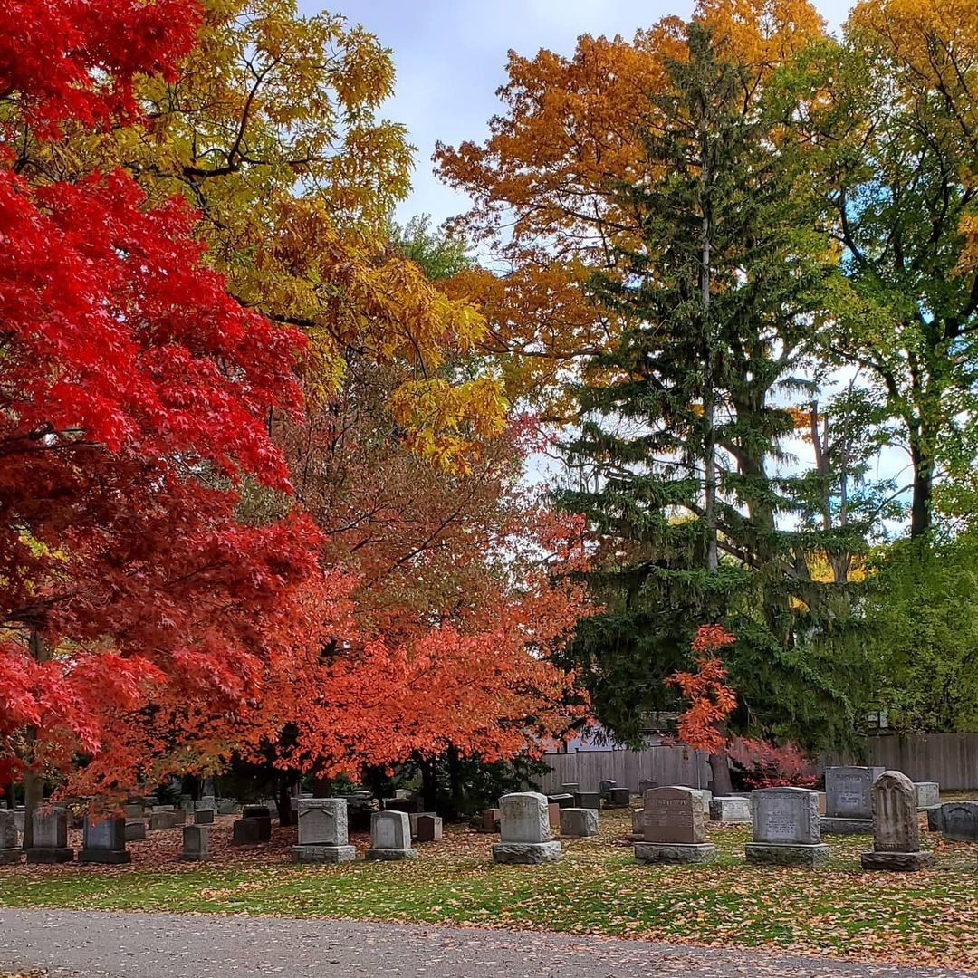 MPGC_GTA's tweet image. We're certainly going to miss these fall colours. 🍂

📸: paulpynkoski (IG)

#EndOfFall #FallColours