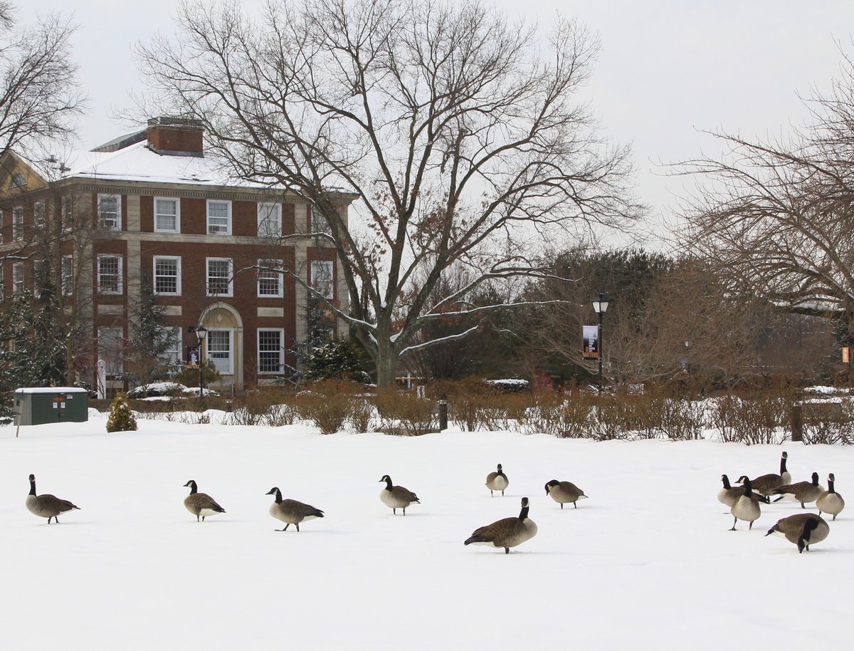 AdelphiU's tweet image. Tag a buddy that you can't wait to enjoy the snow with once #WinterAtAdelphi arrives! ❄️ #ReplyTweet