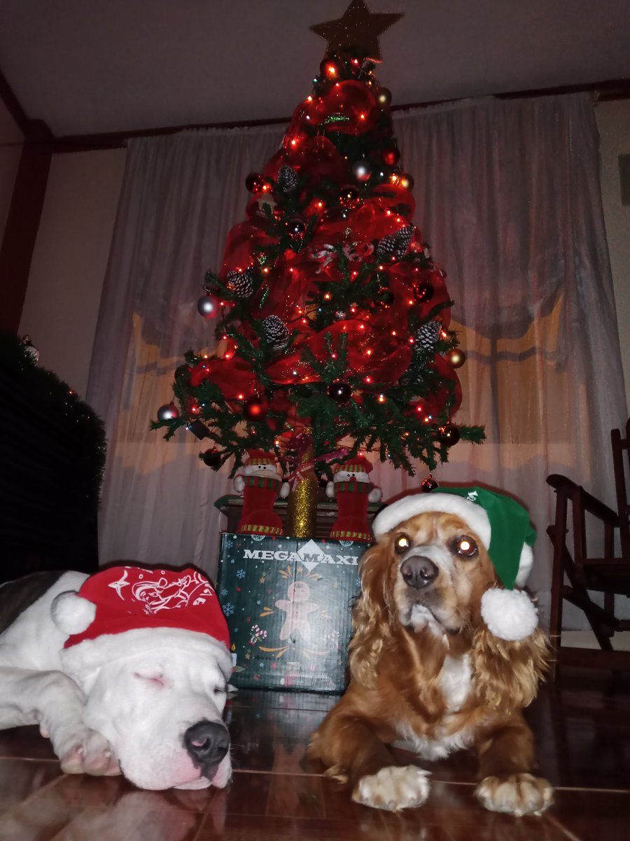 AshlitaChris's tweet photo. KÁIZER Y GOOFY https://t.co/DlC6nWcdoF