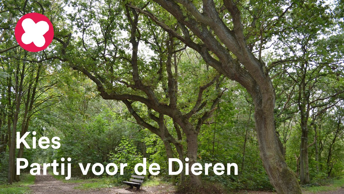 Yes!🥳 De kandidatenlijst voor de gemeenteraadsverkiezingen is vandaag door onze leden goedgekeurd op het #pvddcongres. Wij hebben ontzettend veel zin om ons in te blijven zetten voor een groen, duurzaam en divers Pijnacker-Nootdorp. 💚🍃