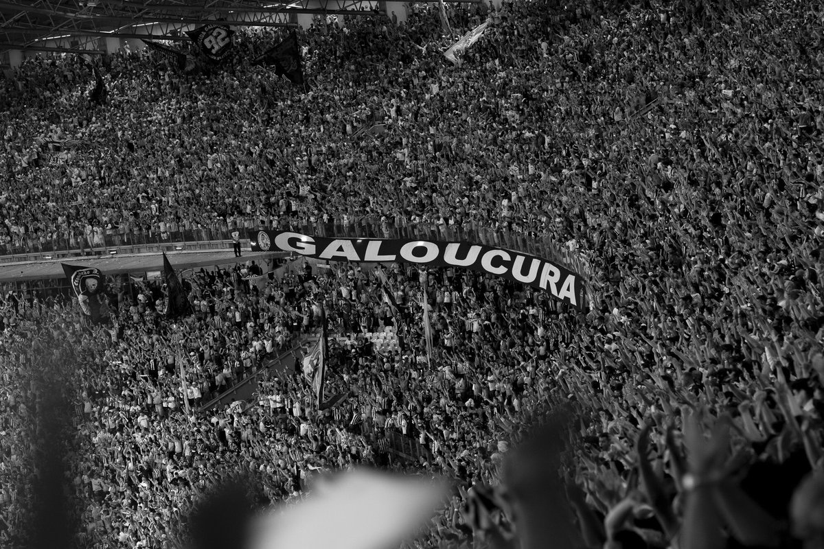 eusavio's tweet photo. Foto que fiz ontem: maior público do “Novo” Mineirão.   #Galo #mineirão #atletico ##AtleticoMineiro #Galoucura #galodoido #CAMxJUV #brasileirao2021 https://t.co/I2lGkMnFx1
