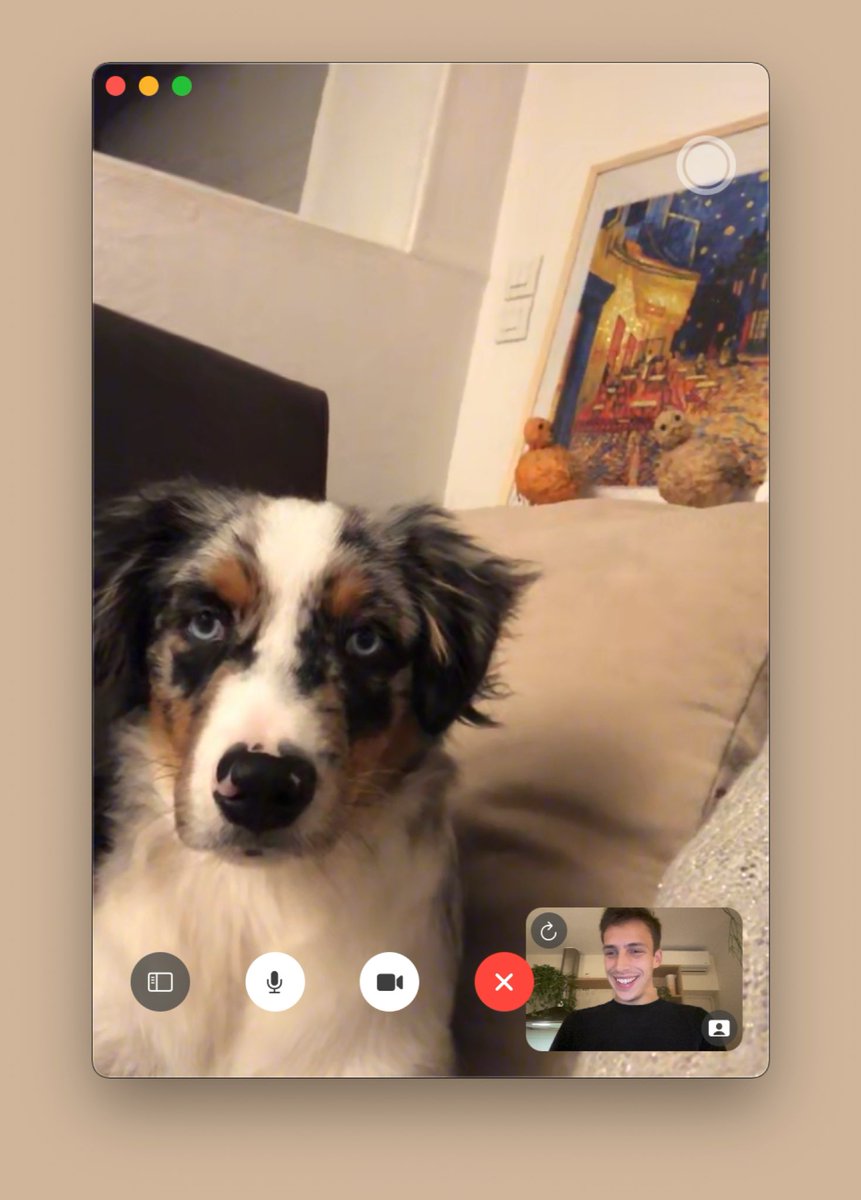 Usually sunday evening means calling my parents on Facetime, but it seems someone else picked up this time