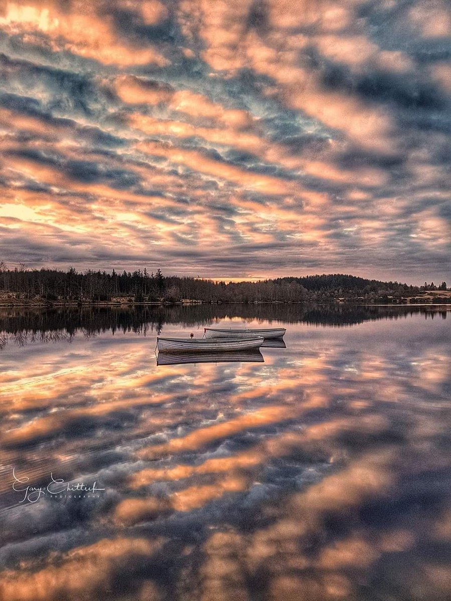 gbc123's tweet photo. @ThePhotoHour Early morning cloud reflections on Loch Rusky 🏴
#StormHour
#ThePhotoHour
#StormHourThemes
#CloudHour
#VisitScotland https://t.co/owtvwIMI5Y