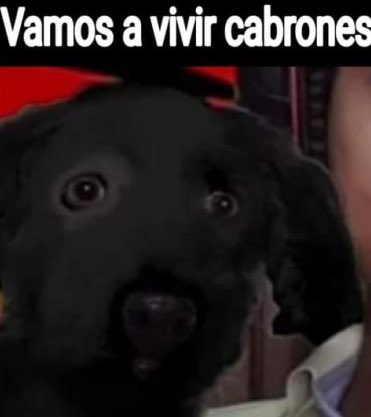 LeSex718's tweet photo. @Puvlo69 El ded se toma mejores fotos https://t.co/CpOnEPBmBE