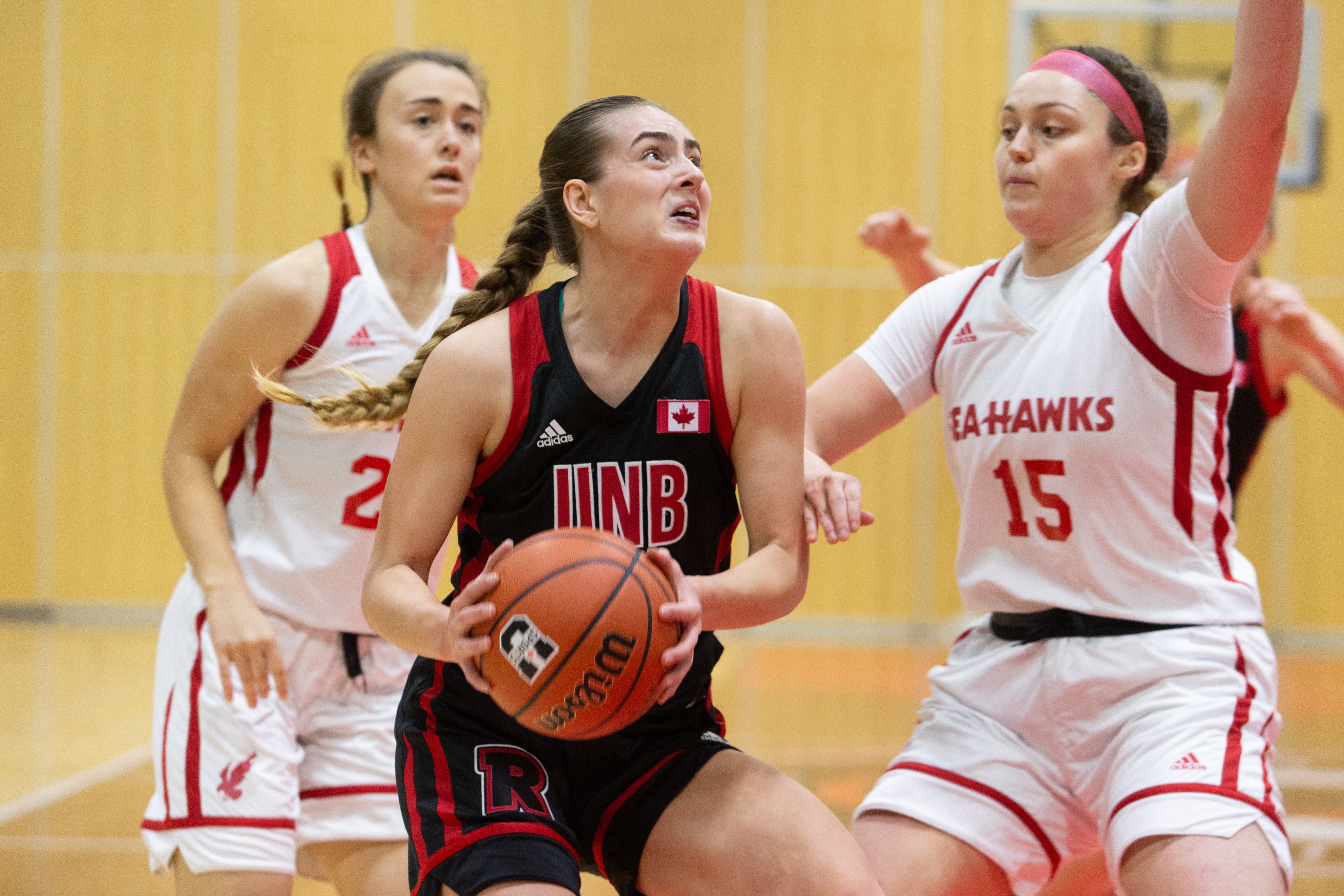 UNB Women's Basketball (@RedsWBB) / Twitter