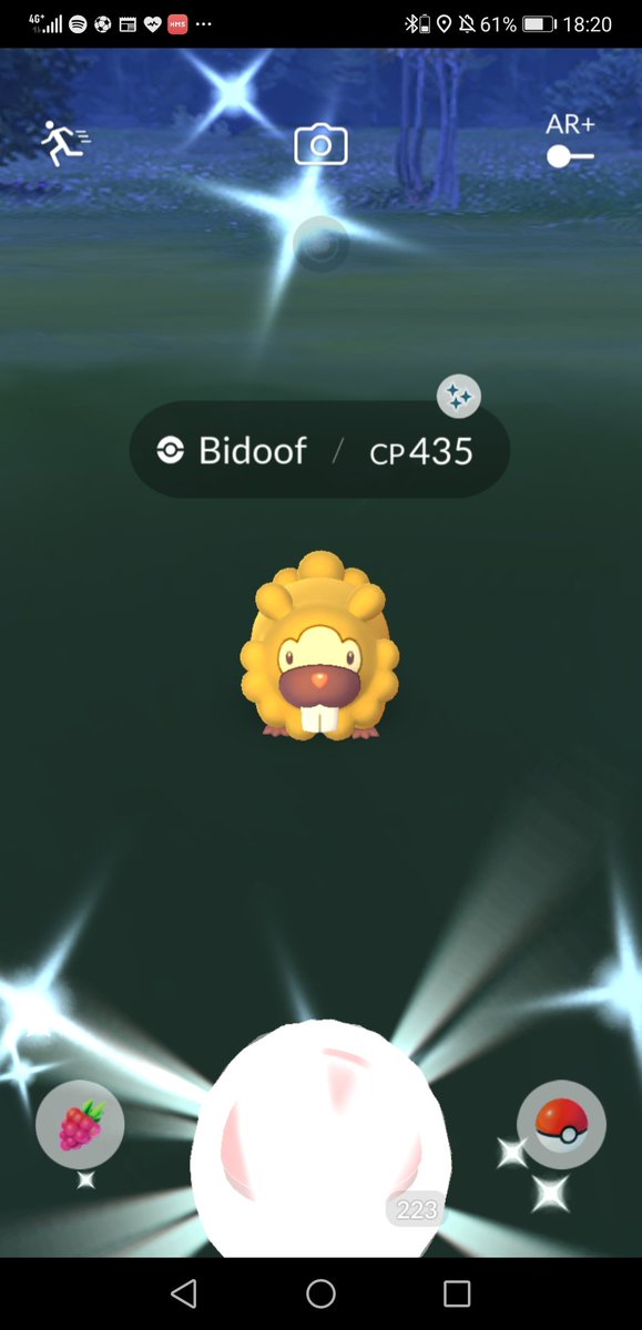 _Kazim33's tweet photo. The real highlight of the day, I present to you my third Shiny Lord Bidoof! ✨
#ShinyPokemon #ShinyBidoof #LordBidoof https://t.co/WqZfqBcWcA