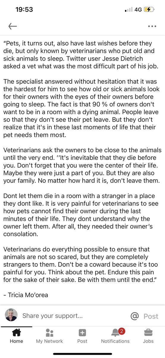 LisaPickard18's tweet photo. Just read this on Linked In & I’m now quietly crying on the train; trying to avoid letting out a snotty sob! #Ilovemydog #LoveRuby https://t.co/AGPy3eo4Kk