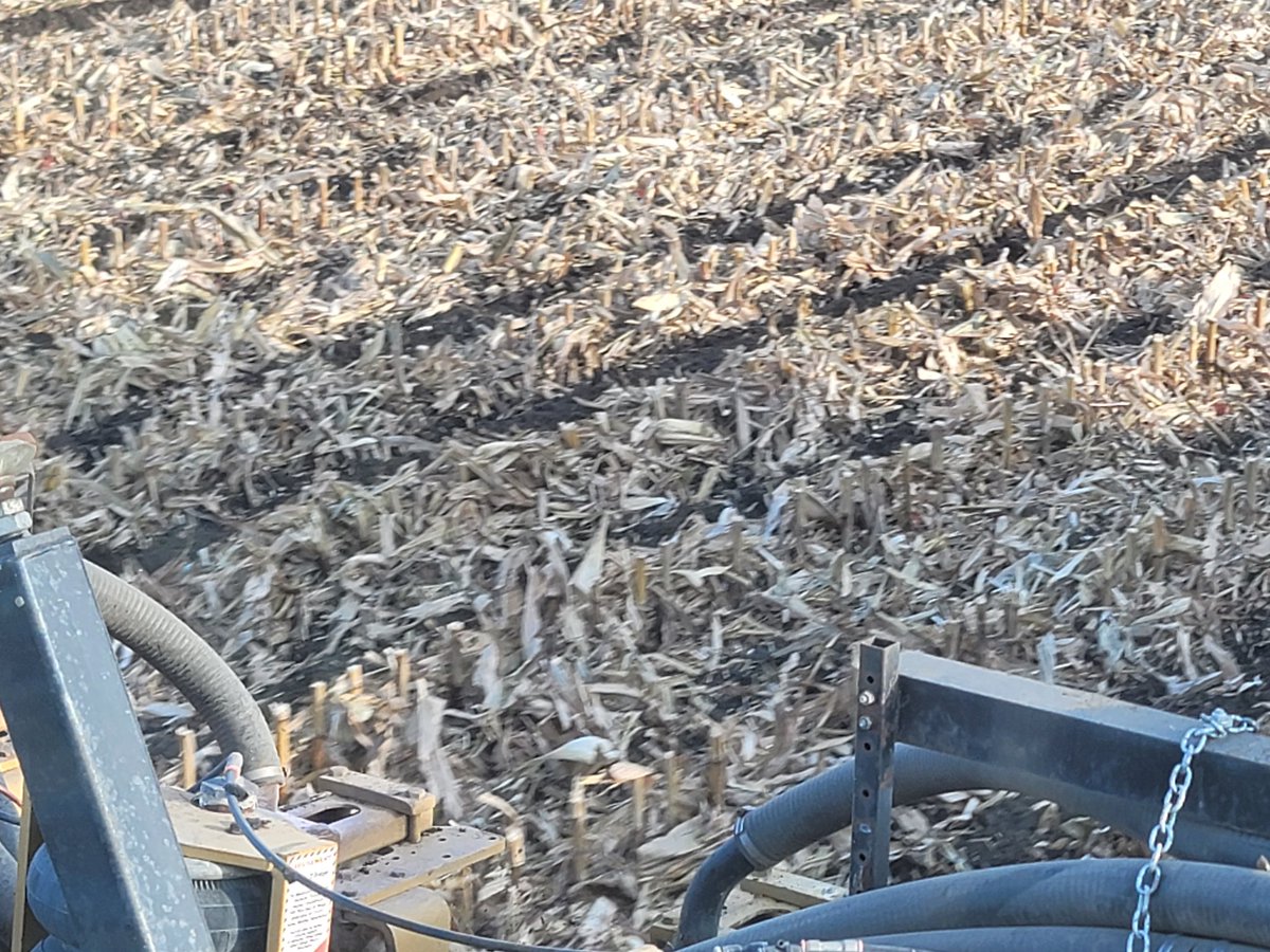 Warren Schneckenburger 🇨🇦 tweet media