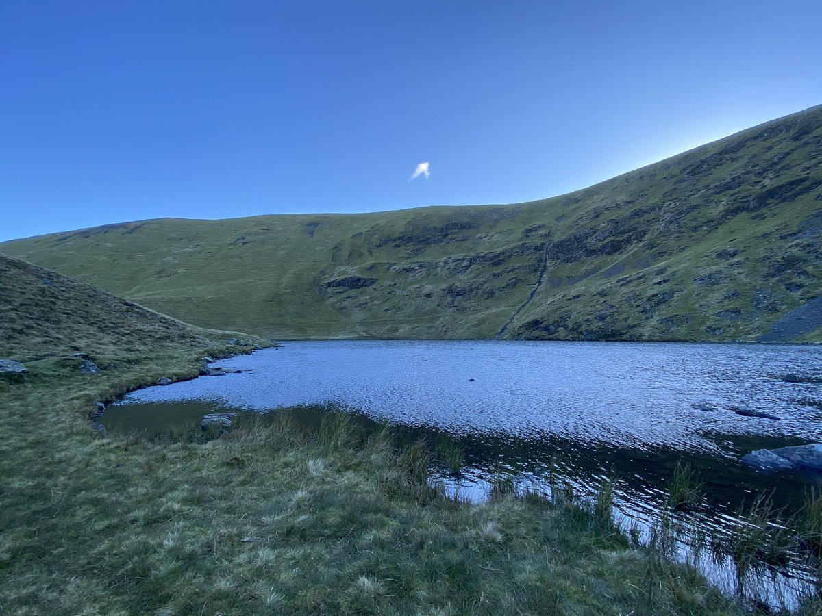 Lauren Ostridge tweet media