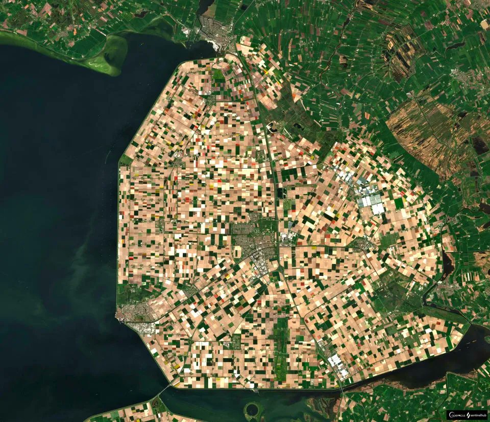 Just a cool satellite view of the tulip fields of the Noordoostpolder in the Netherlands. Source: buff.ly/3x3ZMgk