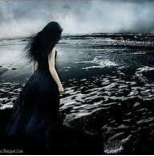 VictoriaV.Robles tweet media