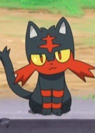 PocketMonstrOTD's tweet photo. The third character i will post of the whenever is Litten! Can’t come up with a Litten hc so drop your Litten Headcanons down below 👍 https://t.co/RHxxfKzDVF