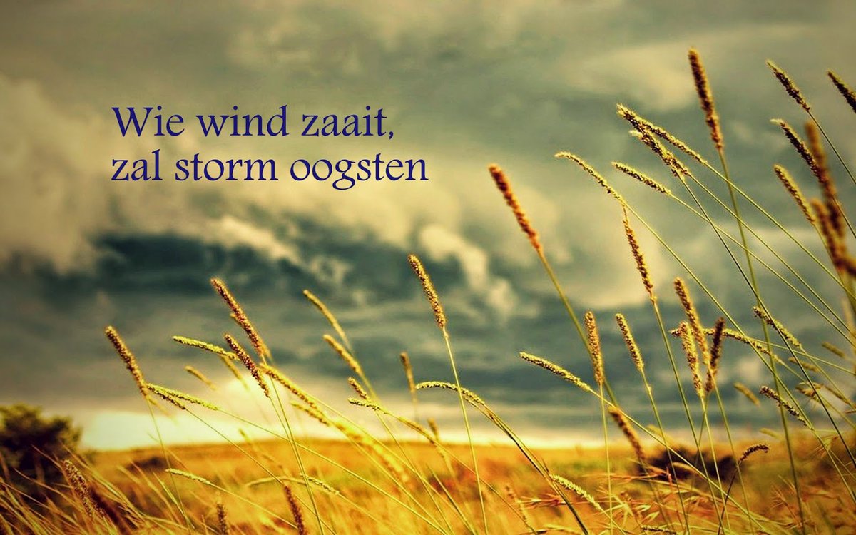 marijke tweet media