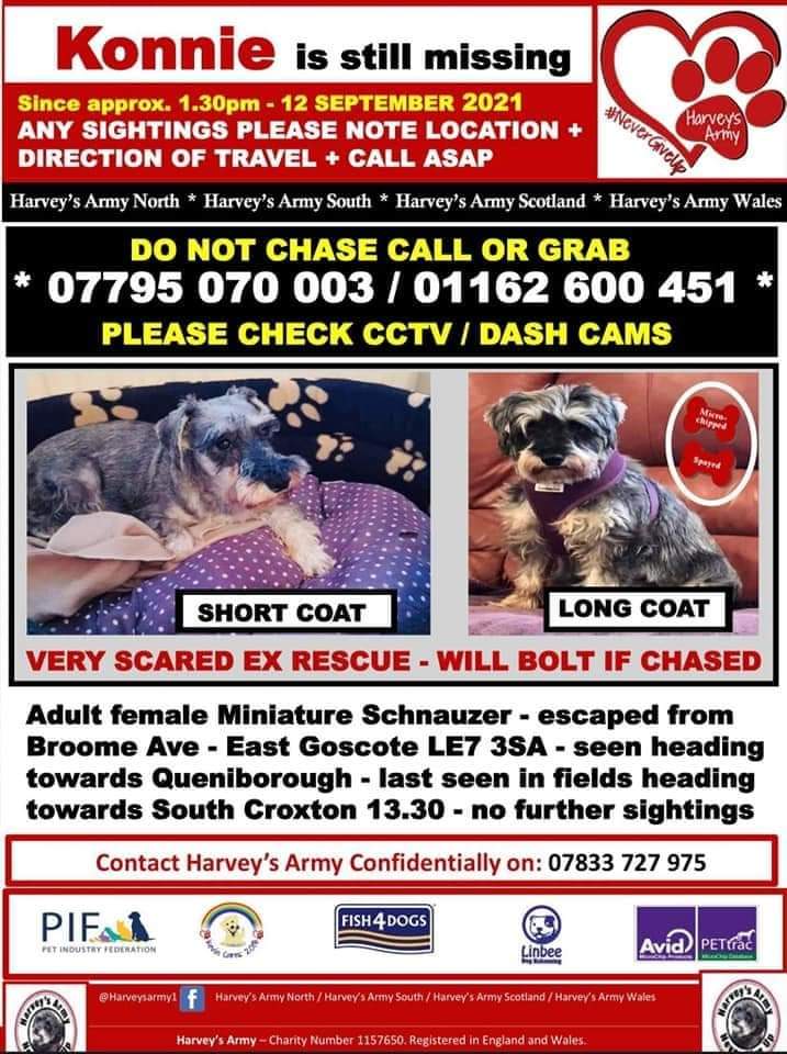 #FindKonnie 

Where did Konnie go after escaping...

Someone must have seen her...

Don't remain silent...

Let us know where she is...