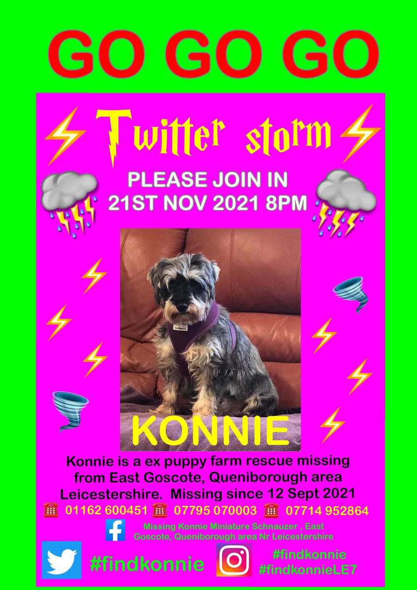#findkonnie @Adele @EamonnHolmes @RuthieeL @Schofe @SimonCowell @ThePetShowtv @hollywills @DogsofTooting @rickygervais @Nowzad @SkyNews