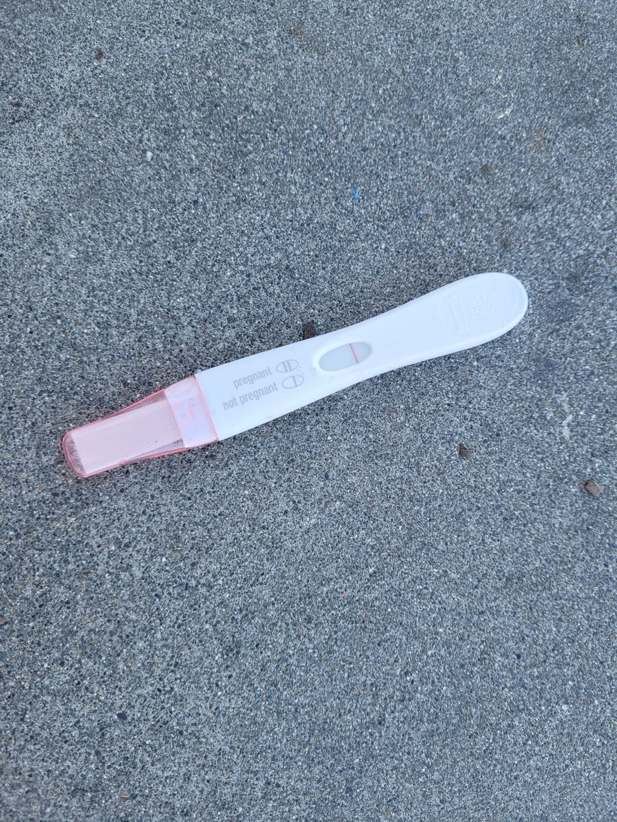 jamiemortara's tweet photo. Looks like someone survived Scorpio season. https://t.co/x75trS1snd