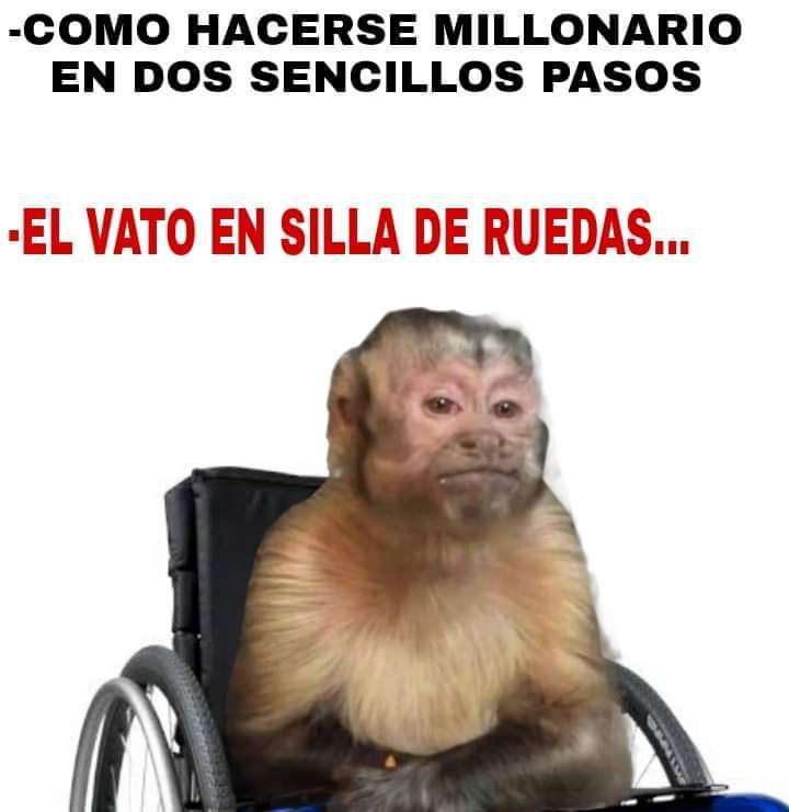 titila74's tweet photo. #Chistes #Humor #HumorNegro #DirectoAlInfierno #MeIréAlInfierno #DomingoDeGanarSeguidores #Sígueme #SiguemeYTeSigo #SiguemeYTeSigoYa #SiguemeYTeSigoCumplo #SiguemeYTeSigoTambien #SiguemeYTeSigoDeVuelta #SiguemeYTeSigoAlInstante #SiguemeYTeSigoEnSegundos https://t.co/FDqn0JhVRJ
