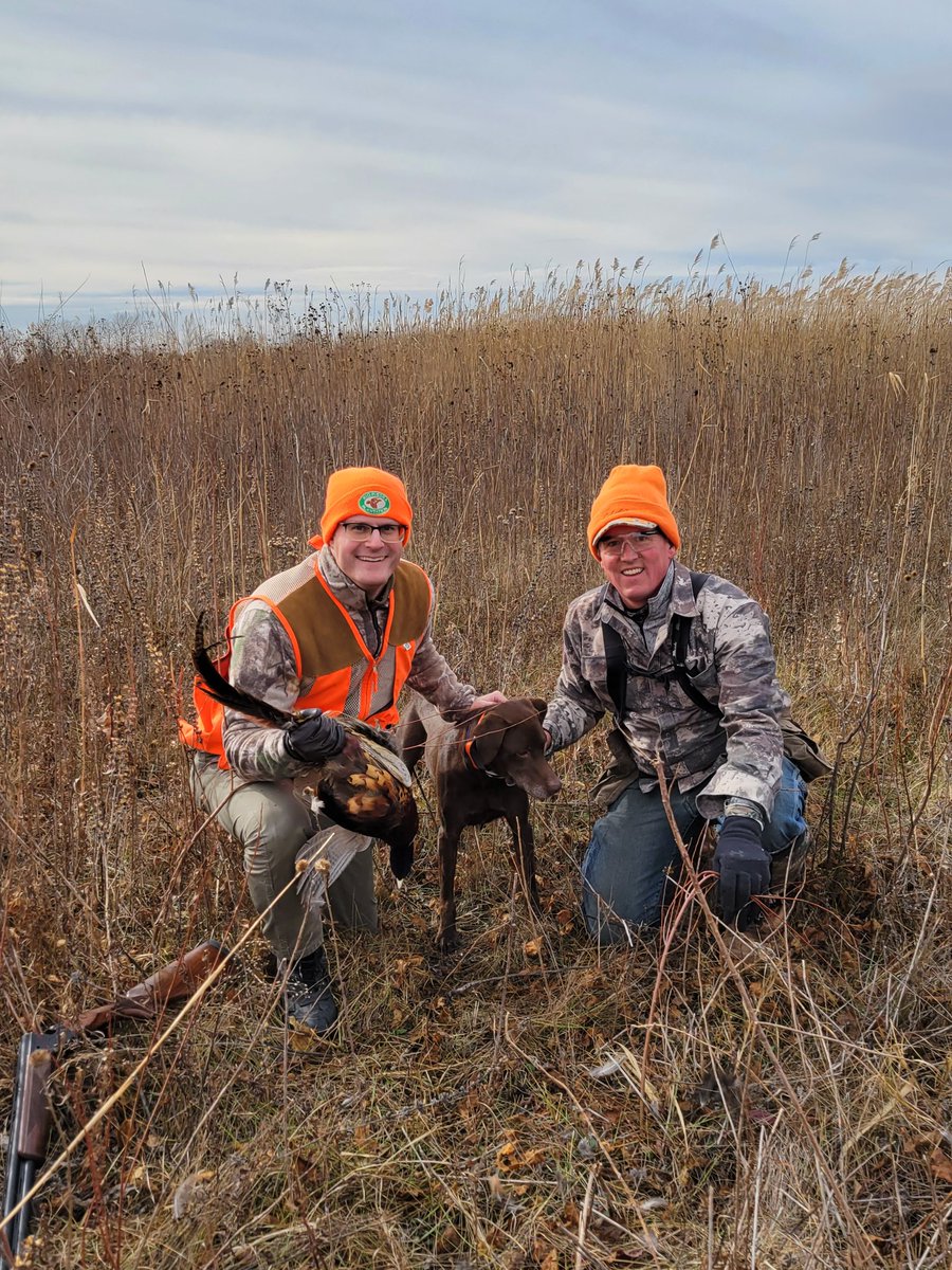 AdamGreggIA's tweet photo. Great pheasant hunt in SW Iowa!

@pheasants4ever @IowaPFQF @iowadnr https://t.co/o5mFdGsZsz