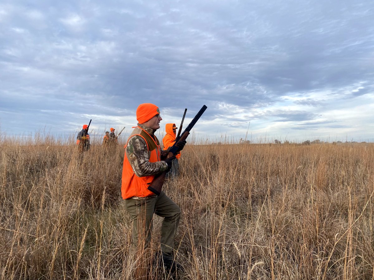 Great pheasant hunt in SW Iowa!

<a href="/pheasants4ever/">Pheasants Forever</a> <a href="/IowaPFQF/">Pheasants Forever and Quail Forever in Iowa</a> <a href="/iowadnr/">Iowa DNR</a>
