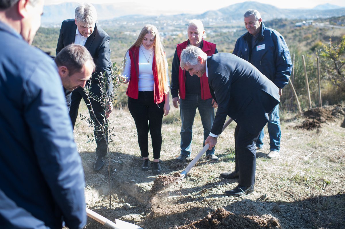 Einen Baum pflanzt man nicht alle Tage: tolle Businesspartnerschaft der @AustrianDev mit der <a href="/LenzingGroup/">Lenzing Group</a> zur Aufforstung, die ich während meiner Reise nach #Albanien kennenlernen durfte.