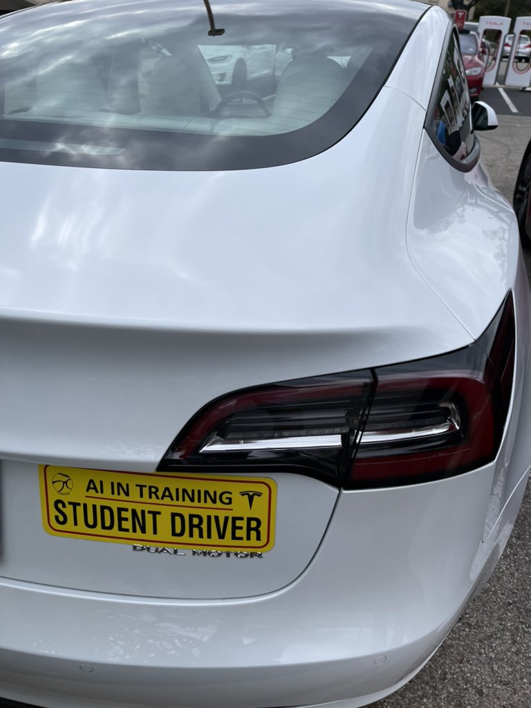 AustinTeslaClub's tweet photo. @elonmusk check out this @Tesla FSD Beta car in training!! 🤣🤣🤣 https://t.co/8F4z5rK6Rj
