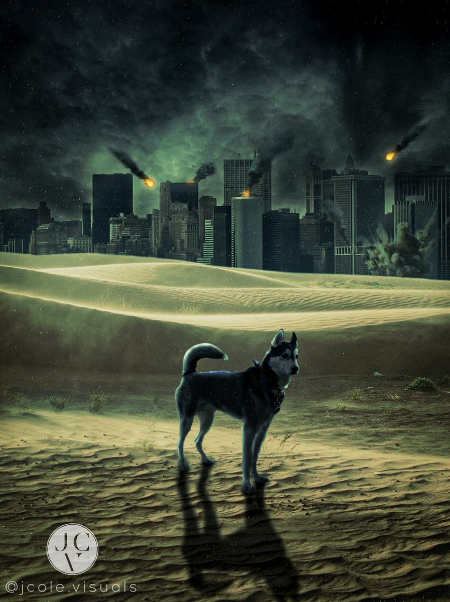 JcoleVisuals's tweet photo. 'Husky of the Apocalypse'
.
.
.
.
#photoshop #photomanipulation #apocalypse #apocalyptic #husky #digitalart #art #artwork #photoshopart #newart #newpost #digitalartwork #artstagram https://t.co/A4E79mxNtr