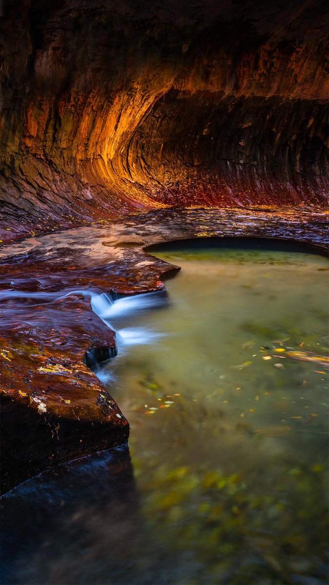 bing_gallery's tweet photo. https://t.co/R0I0t89eCZ