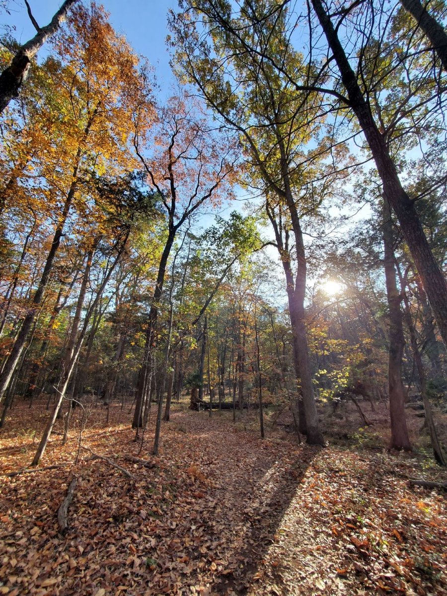 Today, the Chinn Ridge loop trail is a peaceful and serene place to walk on the battlefield. However, in the late afternoon of August 30th, 1862, this area of the battlefield witnessed some of the most brutal fighting of the Second Battle of Manassas.  

#manassasnps