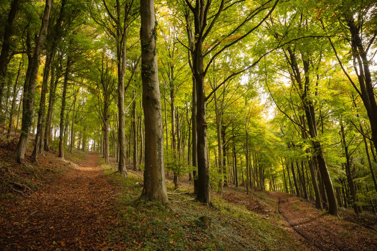 nationaltrust's tweet photo. No matter how long it’s been, you can reconnect with nature at any time. https://t.co/MtMmdMMEru