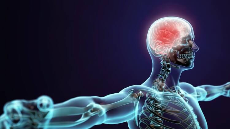 thinksteroids's tweet photo. "Muscle memory refers to growing muscle faster after a period of detraining/atrophy. So if you’ve had bigger muscles in the past, it will help you to grow them big again later."

The big question: do anabolic steroids increase muscle memory?

https://t.co/etxABMb3Lu https://t.co/wqXSvEJpnC