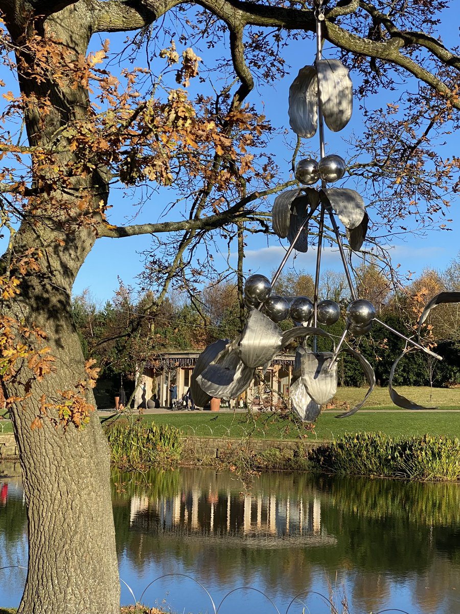 ceebax7's tweet photo. Lovely autumn colour at @RHSHarlowCarr this weekend. Saw a bee 🐝 and butterfly 🦋 too, amazing in the last few days of November. https://t.co/xA4YT8gfxF