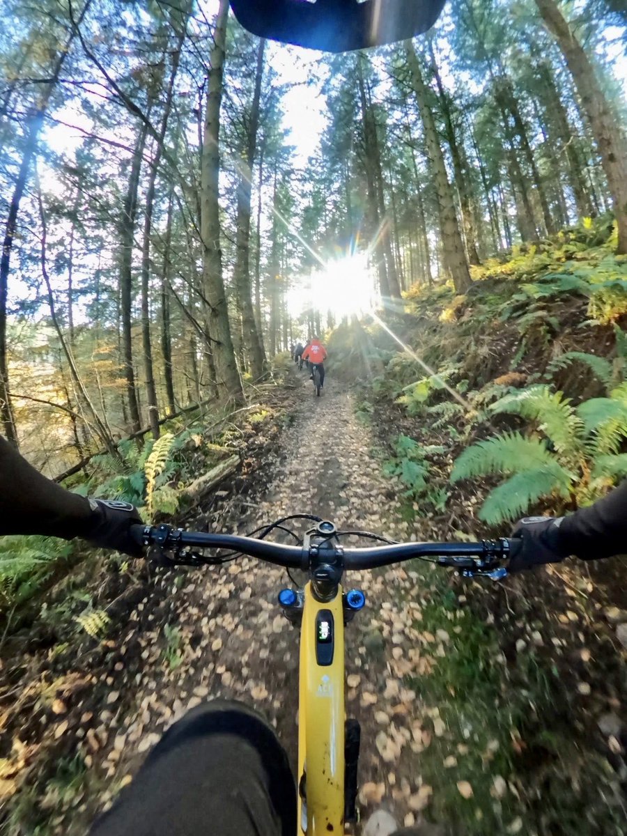 Forest of Dean MTB (@FoDmtb) / Twitter