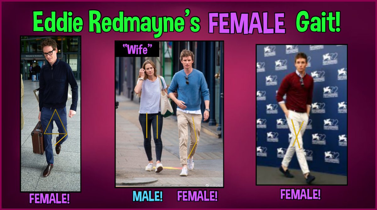Bevvie112's tweet photo. Eddie Redmayne is a trans man [biological female] who portrayed a trans woman in a movie. 

Another flip flop meant to keep us confused.

But we’re not confused, bc basic anthropology, specifically relating to the human pelvis, reveals EVERYTHING.

The human gait is key. https://t.co/joM5MXS5vL