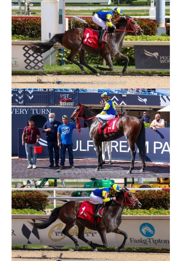 EtorresRacing's tweet photo. #21 MIS BETH'EL con @miguelv03018049 en el óvalo de @GulfstreamPark  gracias a su propietario y conexiones! Seguimos sumando. https://t.co/ewwvRu9WI0